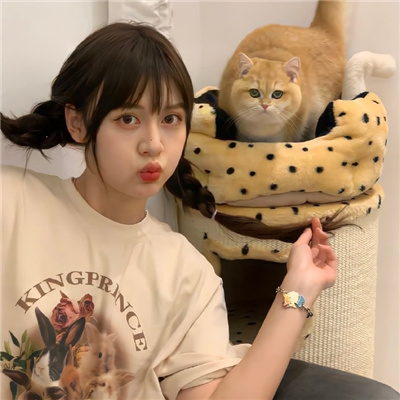 宁波伴游女生星晓莉的资料